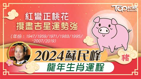 2024生肖運勢豬|2024 肖豬流年運程 